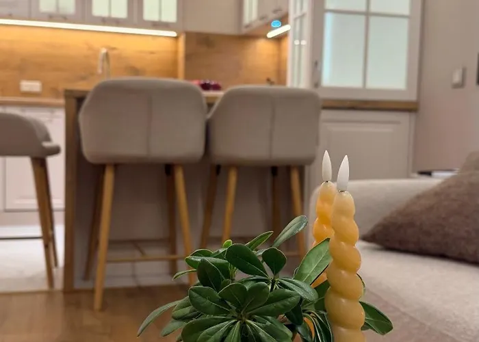 Lux Living 公寓 普罗夫迪夫